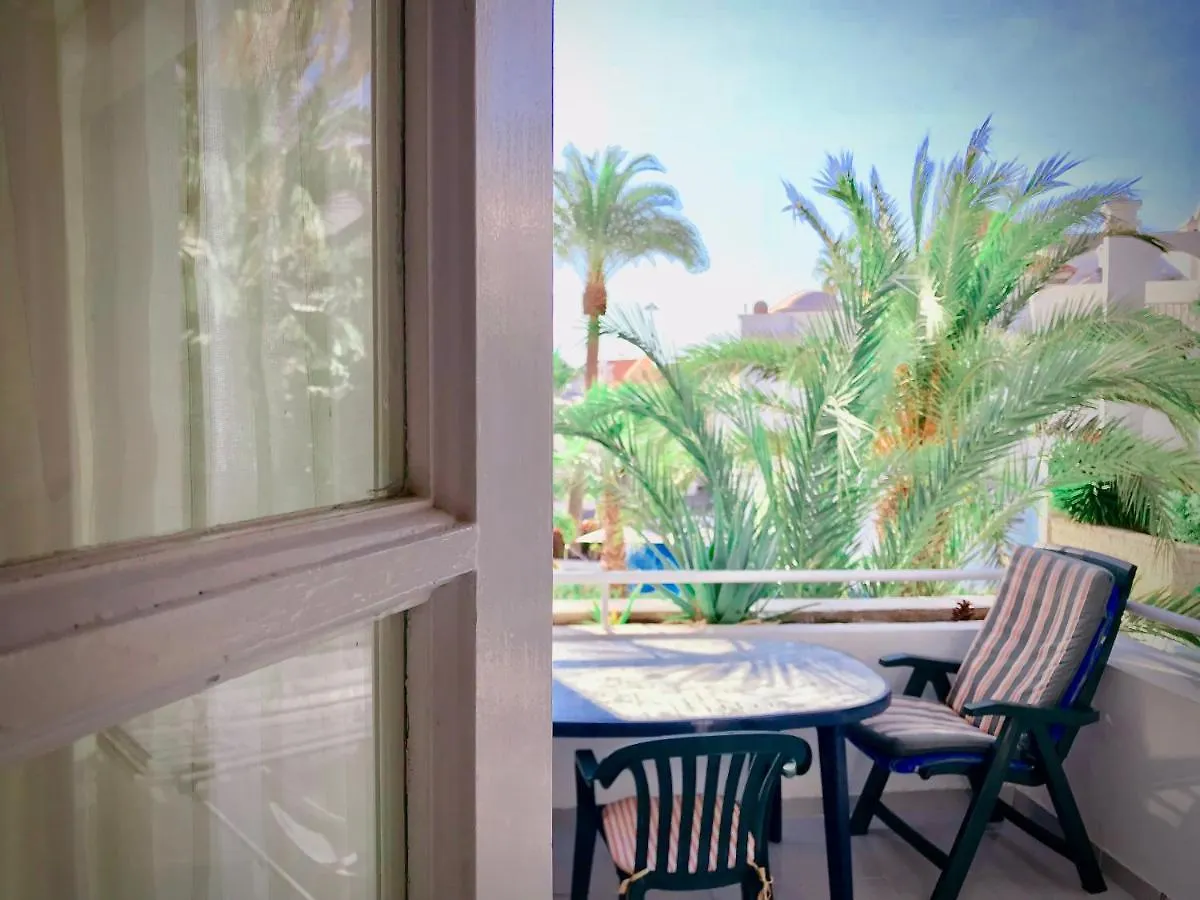 Apartment Amazing Beachfront, Pool And Terrace Costa Adeje  Spain